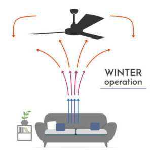 Winmill designer Fans - Winter