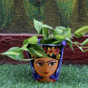 Frida Kahlo Planter